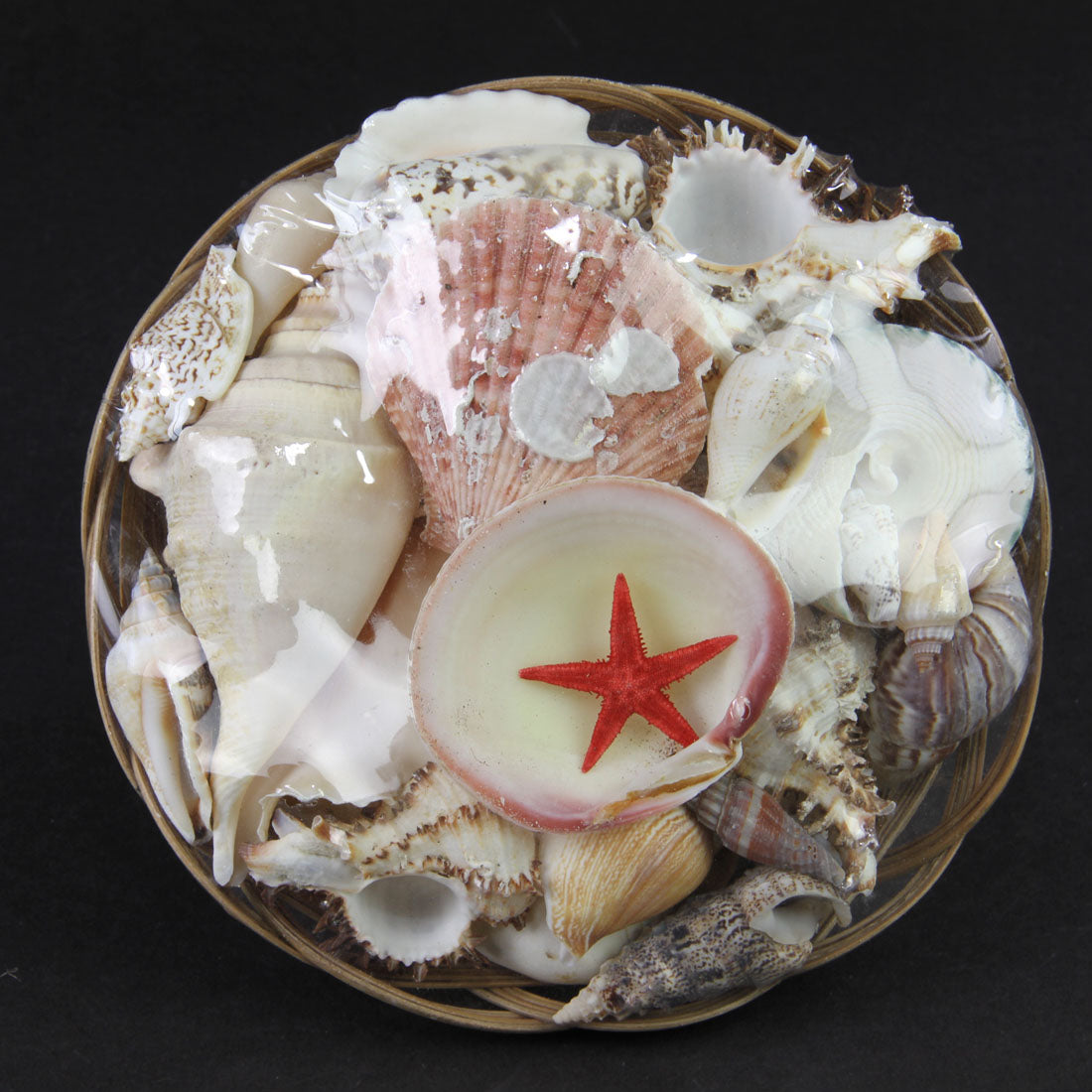 SHELL MIX IN BASKET