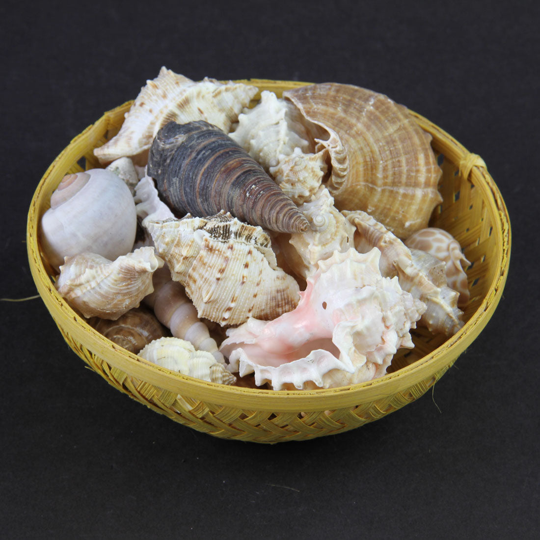 SHELL MIX IN BASKET