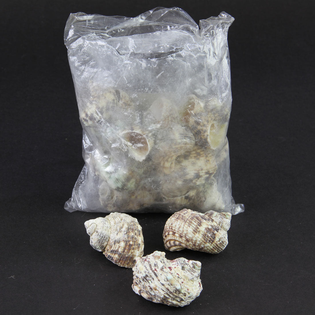 TURBO GOLDMOUTH 1LB/BG