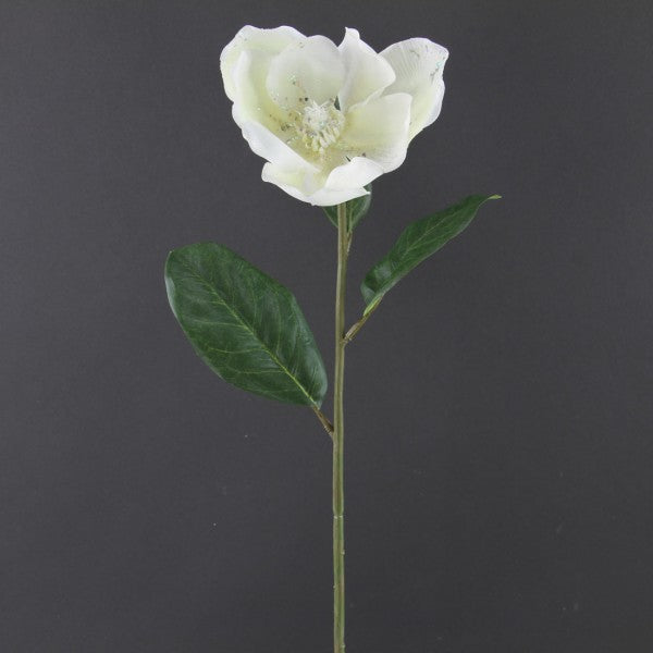 30" MAGNOLIA A4