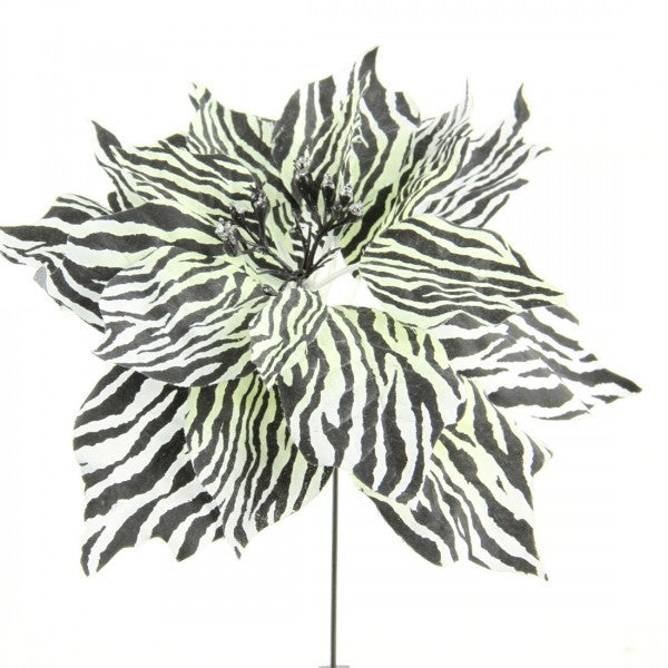 10"ZEBRA POINSETTIA PICK A4