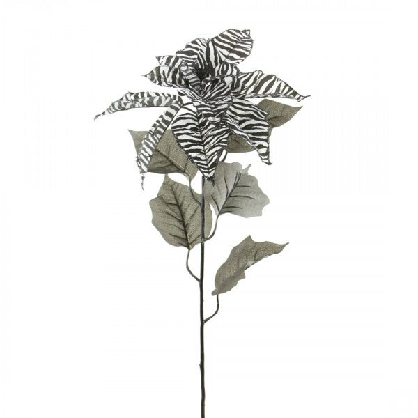 30"SINGL.ZEBRA POINSETTIA A4