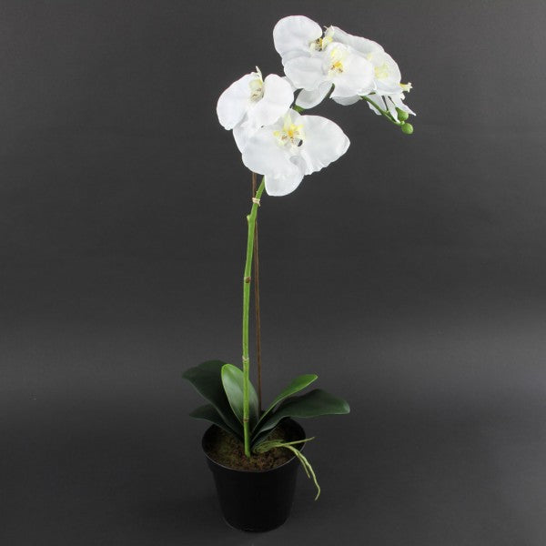 21 INCH POTTED ORCHID FLOWER SPRAY
