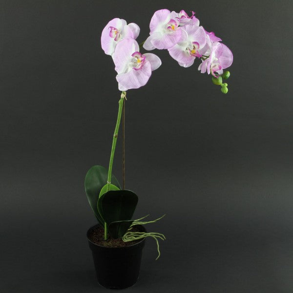 21 INCH POTTED ORCHID FLOWER SPRAY