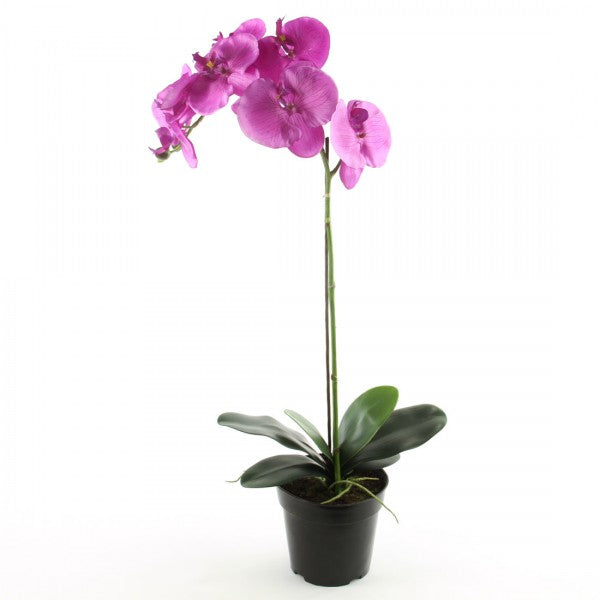 21 INCH POTTED ORCHID FLOWER SPRAY