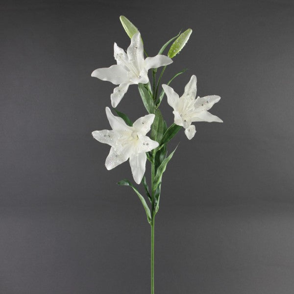 31"TIGER LILY X3 W/DIAMOND A6