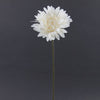 SINGLE GERBERA W/PEARL A4