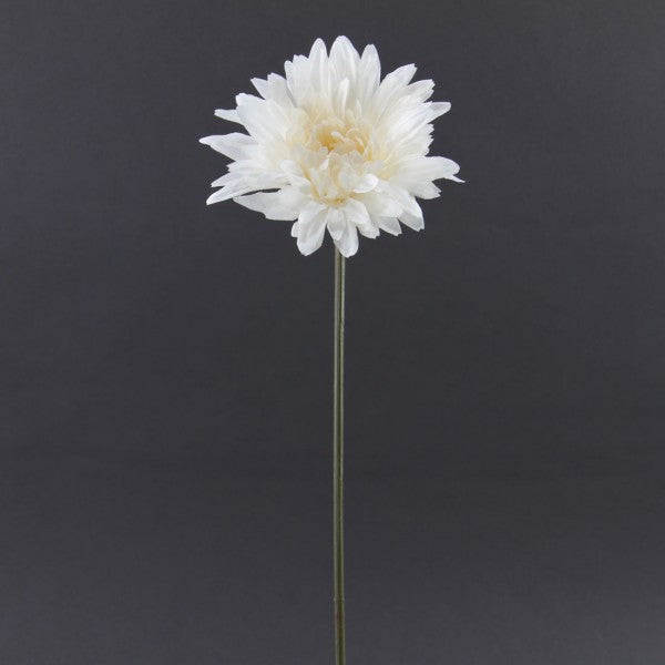 SINGLE GERBERA WHITE A4
