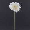 SINGLE GERBERA W/PEARL A4