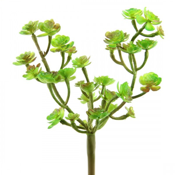 9" SUCCULENT GREEN