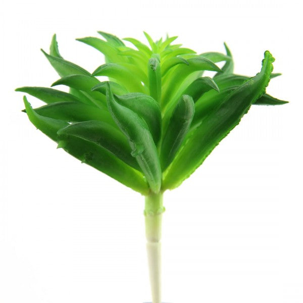 4.2" SUCCULENT GREEN