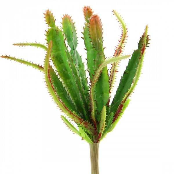 10" SUCCULENT GREEN
