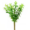 9.5"SUCCULENT GREEN