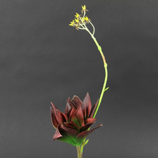 16 INCH SUCCULENT BURGUNDY