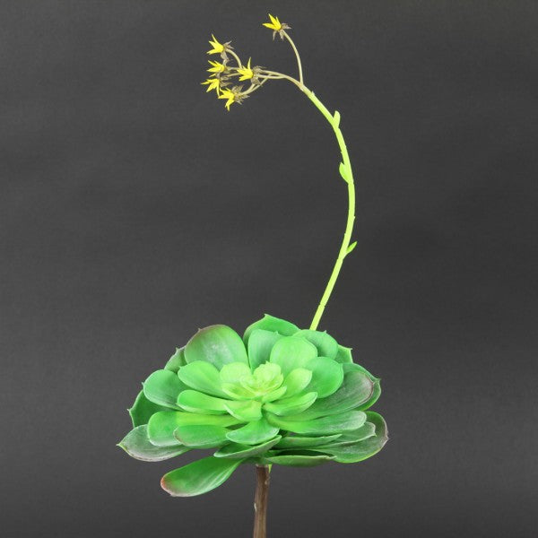 16"SUCCULENT GREEN A4
