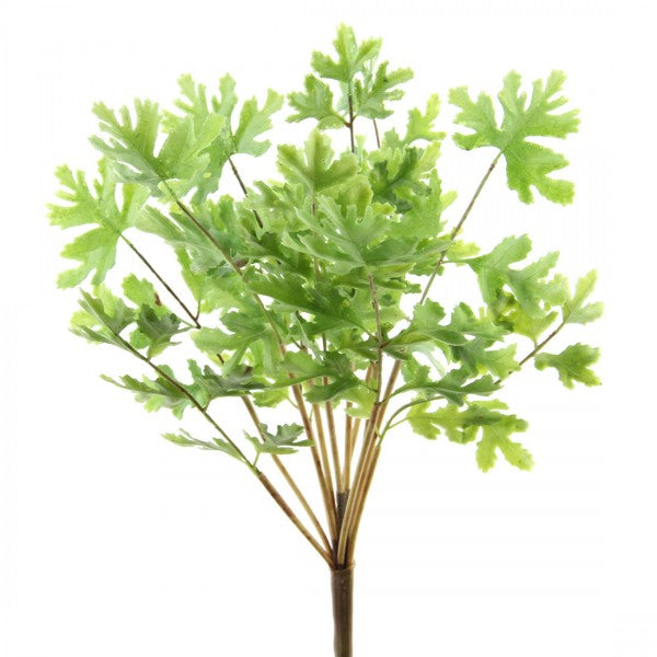 12"SUCCULENT