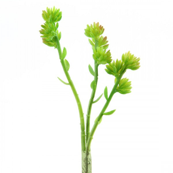 9.5" SUCCULENT