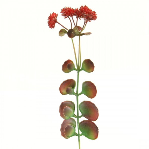 14.25" SUCCULENT