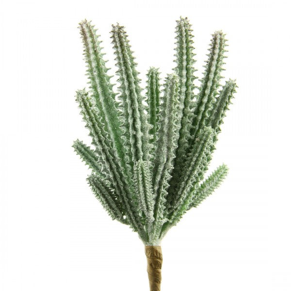 8.75" SUCCULENT GREEN A4