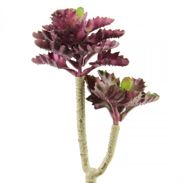 10"SUCCULENT SINGLE STEM