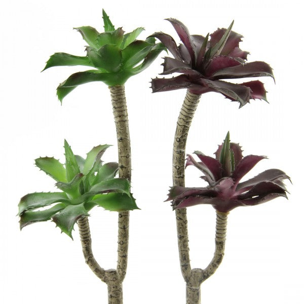 12.5"SUCCULENT SINGLE STEM