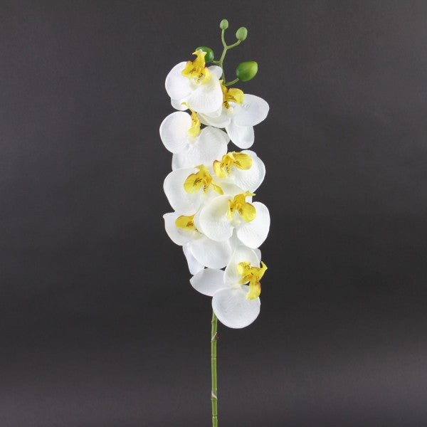 28"ORCHID SPRAY WHITE