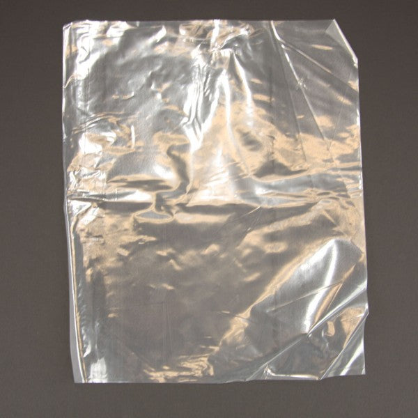 10X12 POLYBAG X100