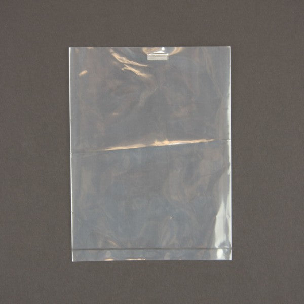 4"X5" 1.5 MIL POLYBAG  X100
