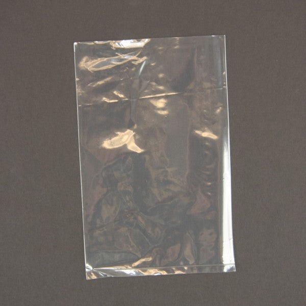 4"X6" 1.5 MIL POLYBAG   X100