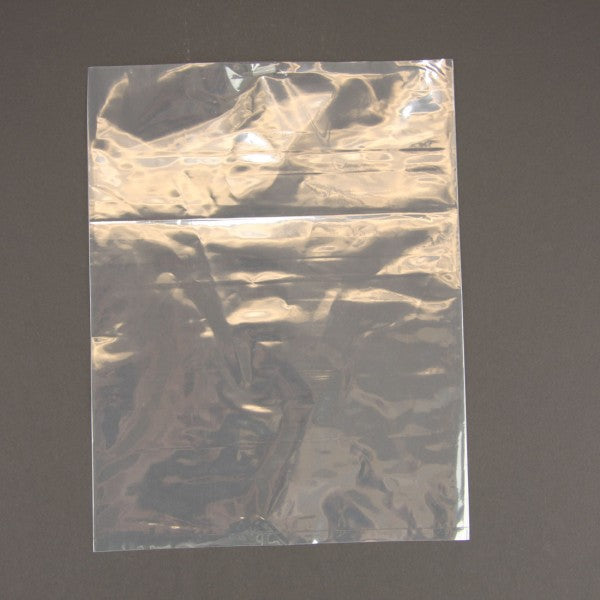 8"X10" 1.5 MIL POLYBAG  X100