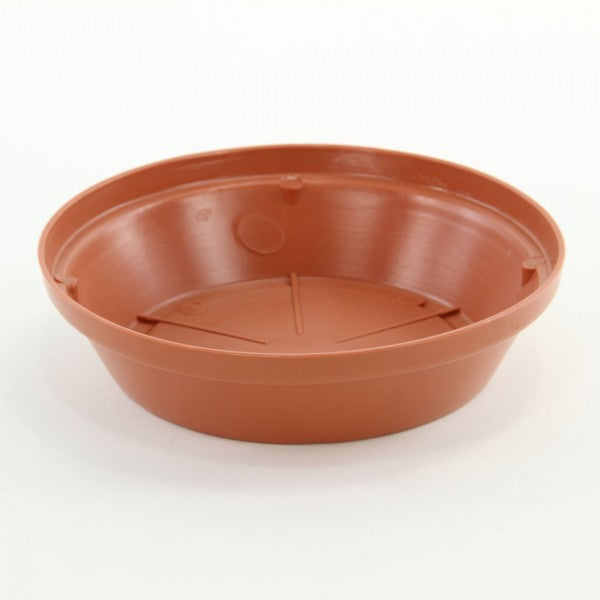 8"PLT.TERRACOTTA SAUCER 36/CS