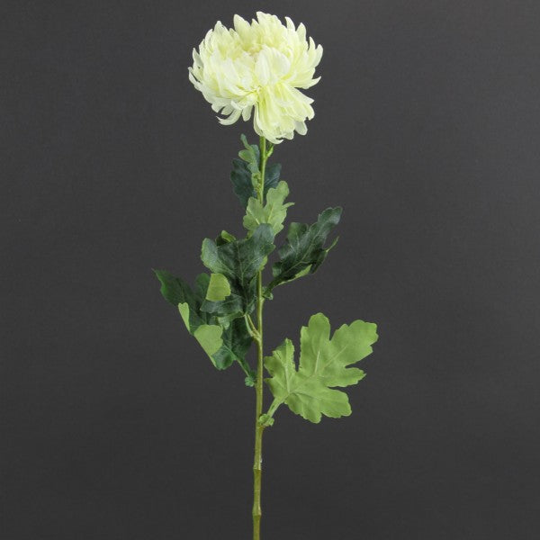 29"SINGLE FUJI MUM A4 B10