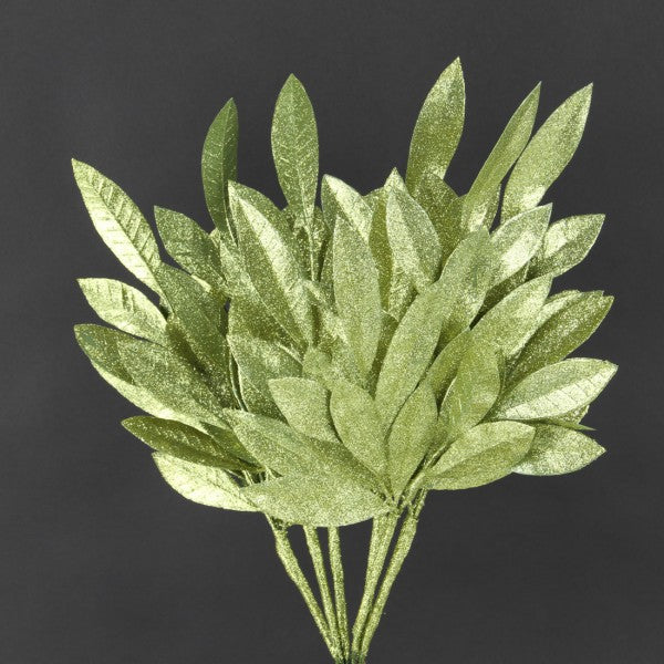 17"GLT.BAY LEAF SPRY 6/BG A4