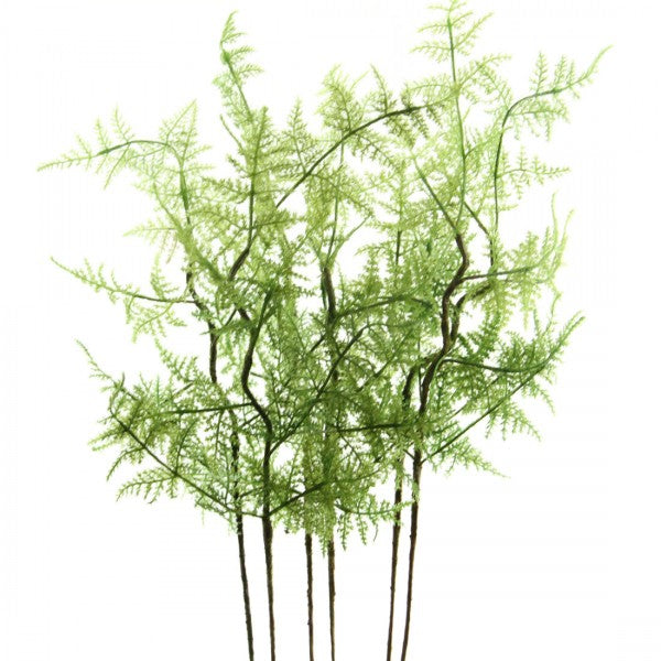 19" ASPARAGUS SPRAY 6PC/BG
