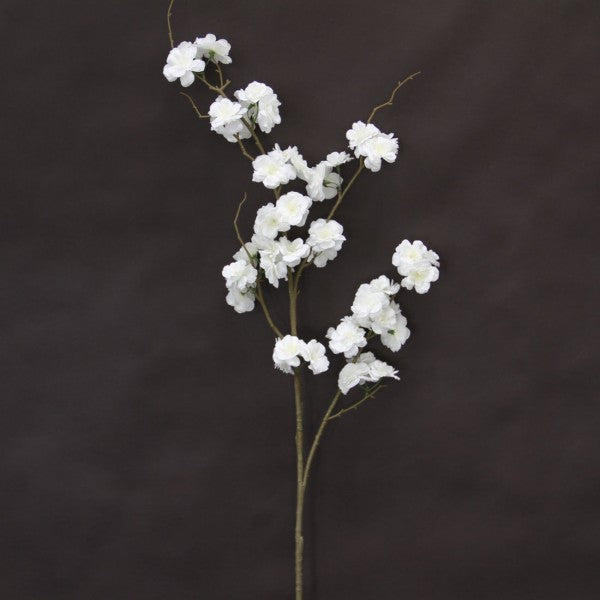 50" CHERRY BLOSSOM CREAM