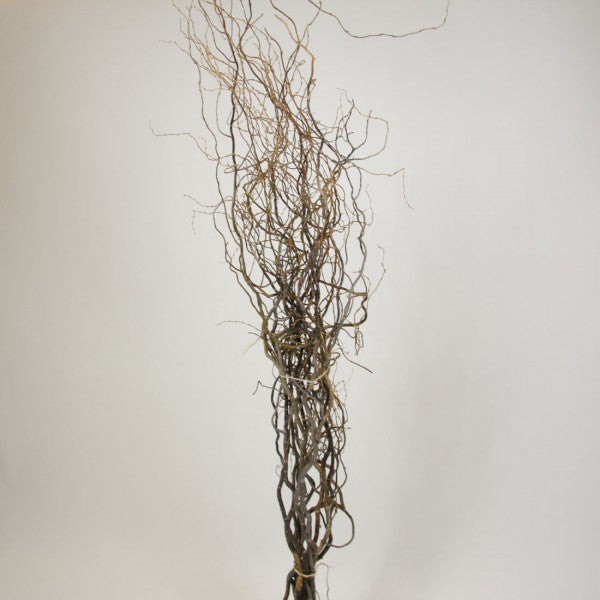 4'-5' CURLY WILLOW BRANCHES