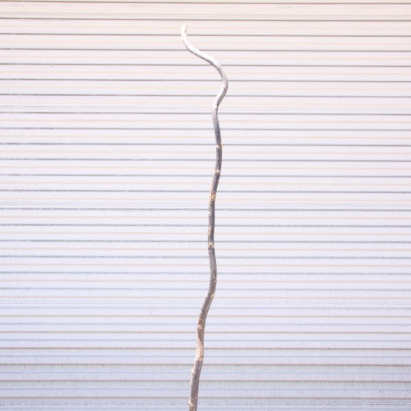 6' - 7' CURLY WILLOW POLE