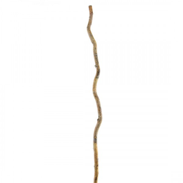 3'-4' CURLY WILLOW POLE