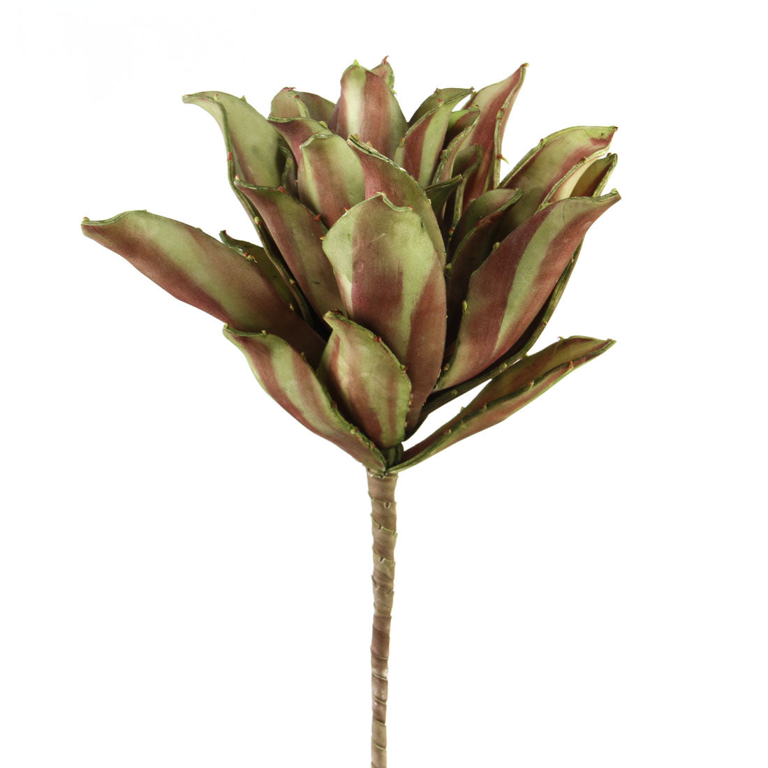 FOAM COASTAL PLANT GRN/PURP