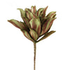 FOAM COASTAL PLANT GRN/PURP