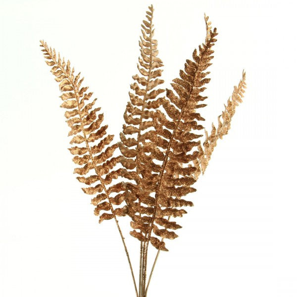 25"BOSTON FERN 6/PKG A4