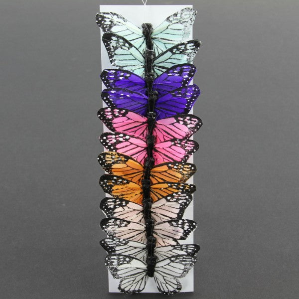 3"MONARCH PASTEL ASST 12/BX