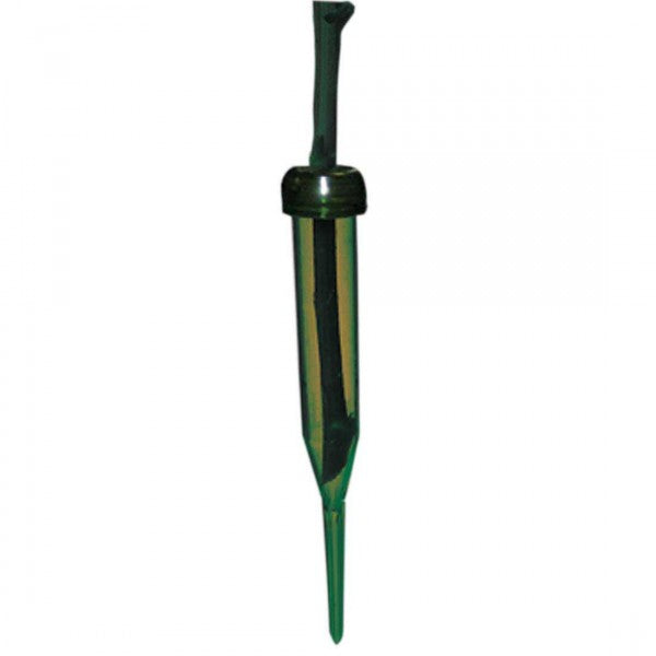 C55 JUMBO STICK PICK X 100PC