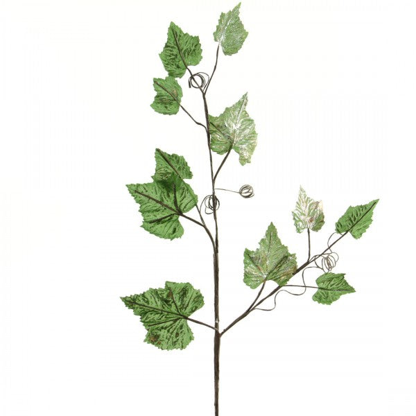 GRAPE LEAVES X11 A6 B4