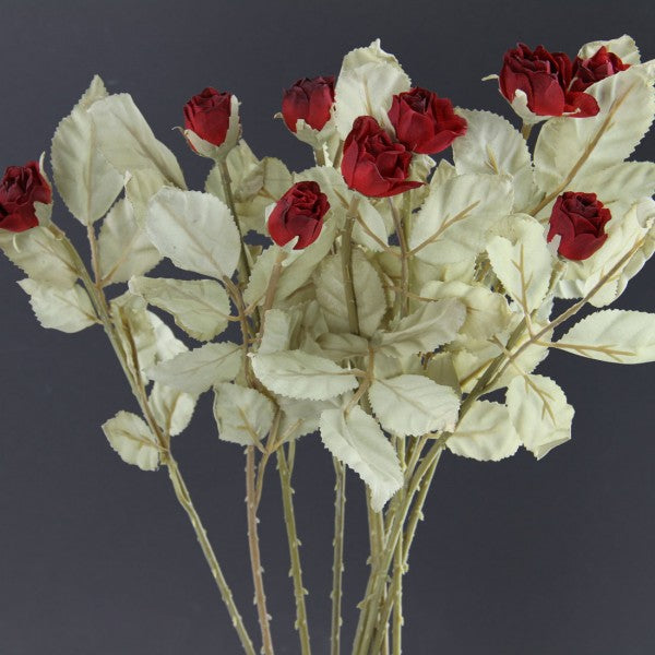 DRIED ROSE BUD RED A4