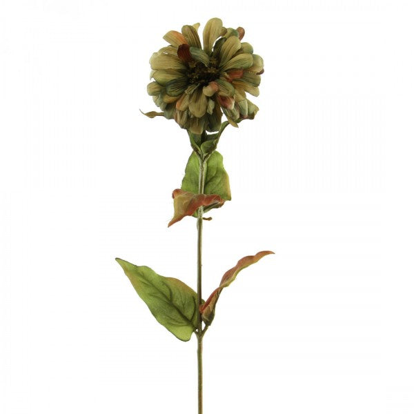 25"ZINNIA SPR W/6 LVS A5