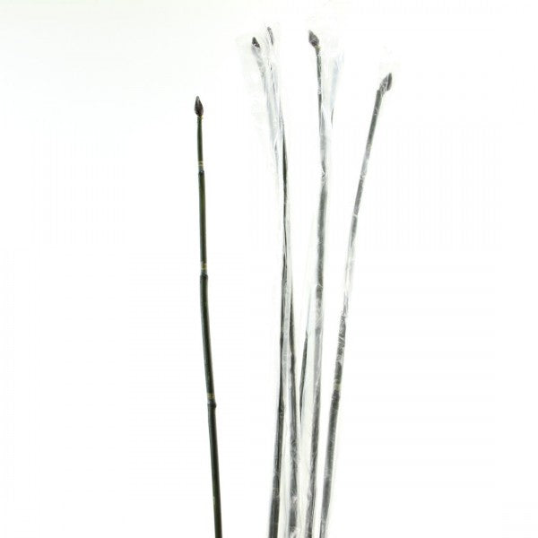 36" LUCKY BAMBOO BUND A5