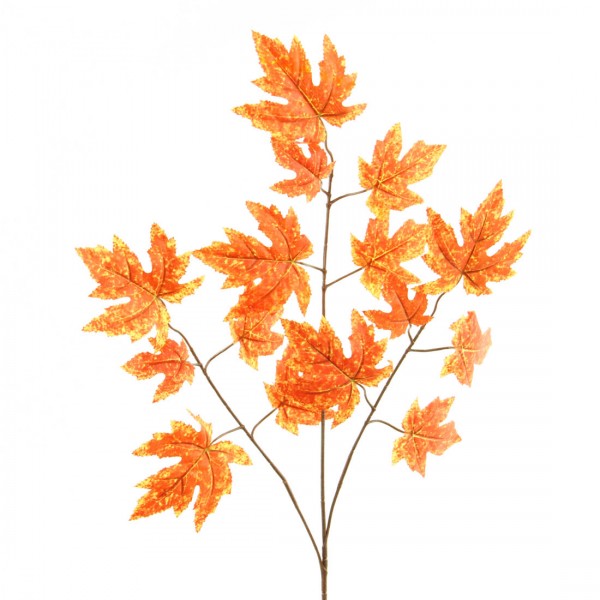ROCK MAPLE SPRAY ORANGE