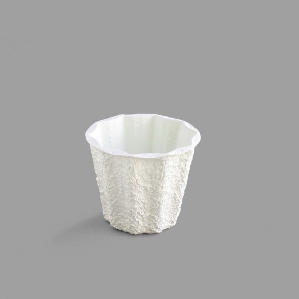 5J PAPER MACHE X1 60/CS