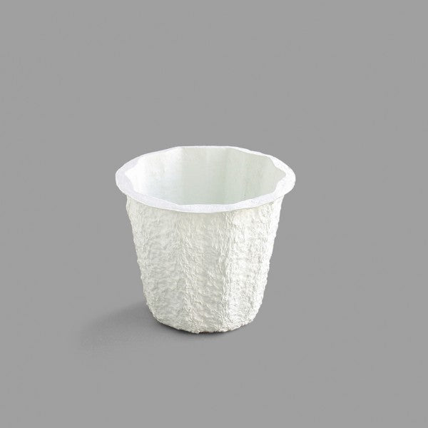 6J PAPER MACHE  50/CS